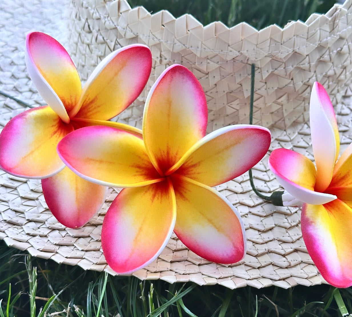 Plumeria (9 CM)