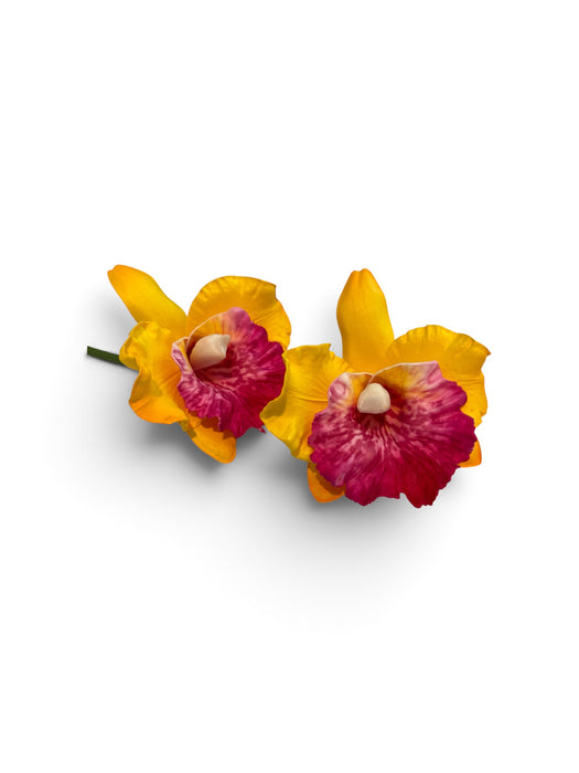 Yellow Orchid Sei (10 cm)