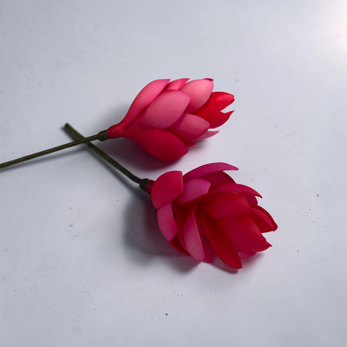 Pink and Red Teuila Sei
