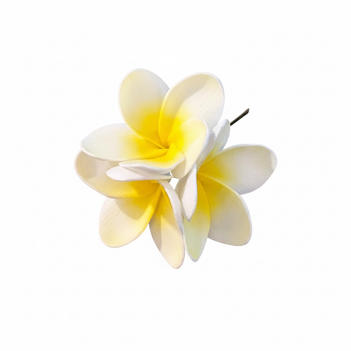 Triple Plumeria Sei (11 cm)