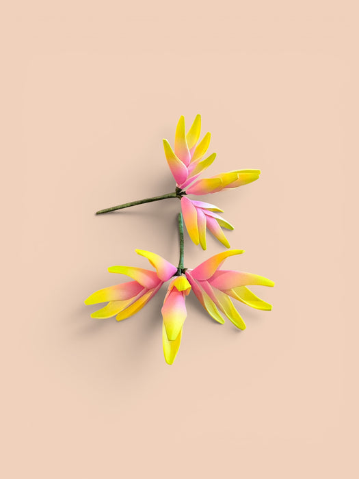 Pink and Yellow Heliconia Sei (Vaepa’a)