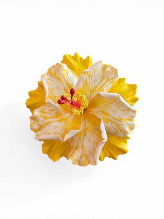 Double-Yellow Hibiscus Sei (11 cm)