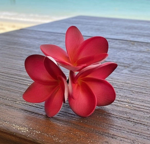 Red Triple Plumeria Sei (11 cm)