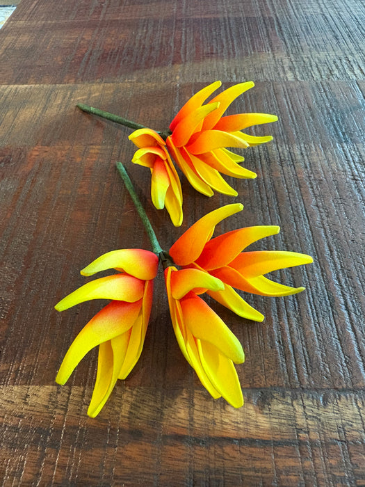 Yellow and Orange Heliconia Sei (Vaepa’a)