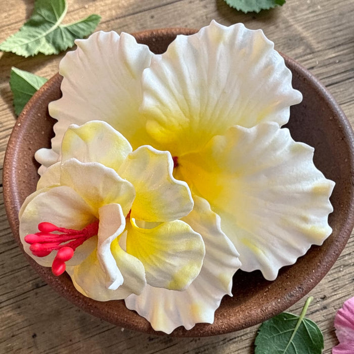 White Double Hibiscus Sei (10 cm)
