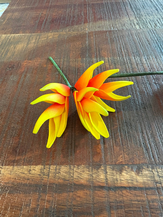 Yellow and Orange Heliconia Sei (Vaepa’a)