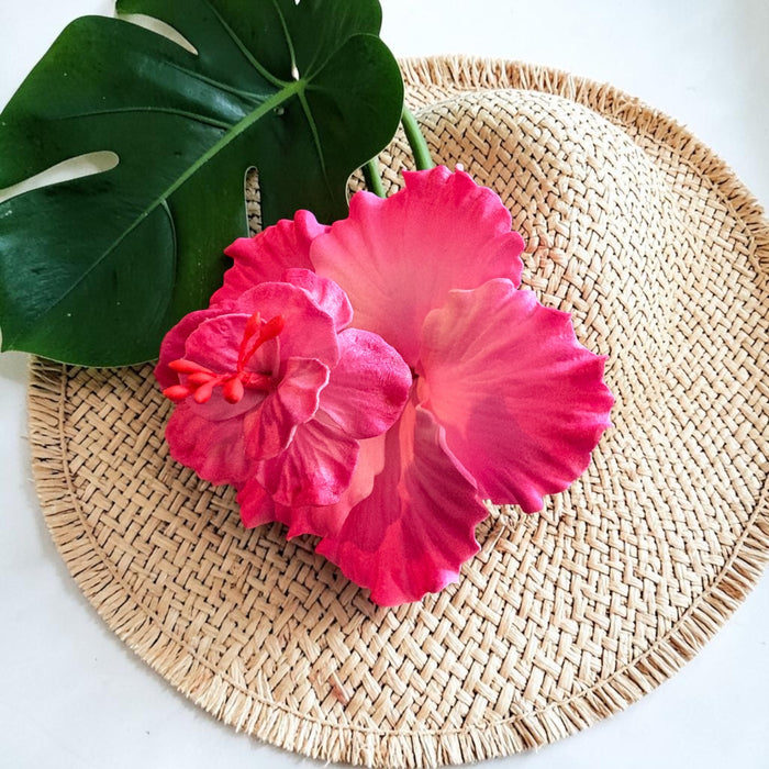 Pink Double Hibiscus Sei (10 cm)