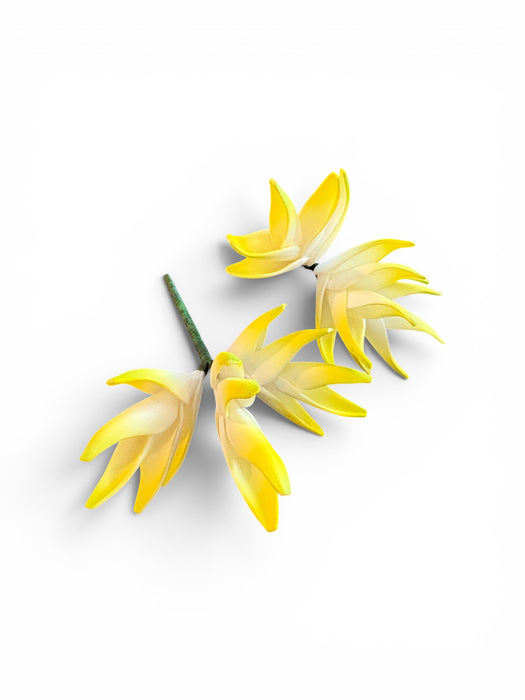 White and Yellow Heliconia Sei (Vaepa’a)