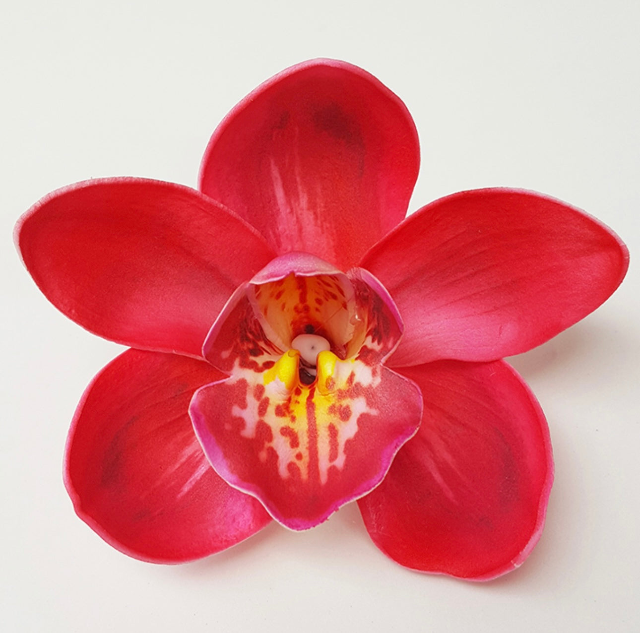 Orchid “Sei” (10 CM)