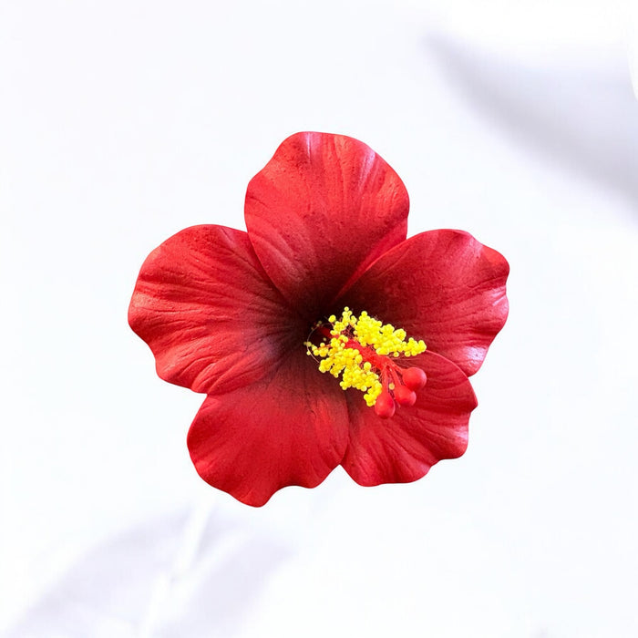 Red Hibiscus Sei (9 cm)
