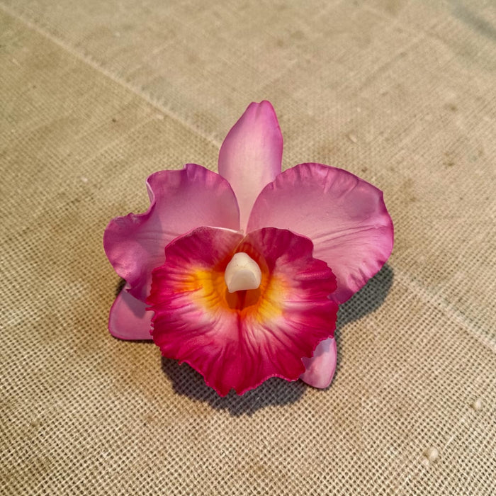 Pink Orchid Sei (10 cm)