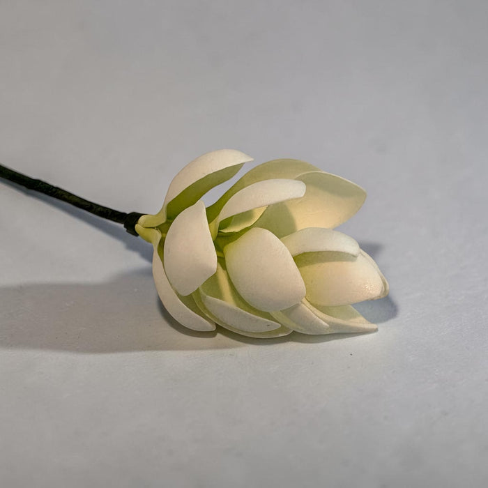 White Teuila Sei (Ginger flower)
