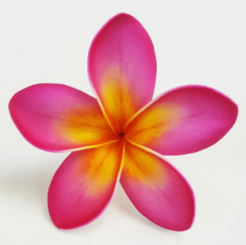 Plumeria (Pua 9 CM)