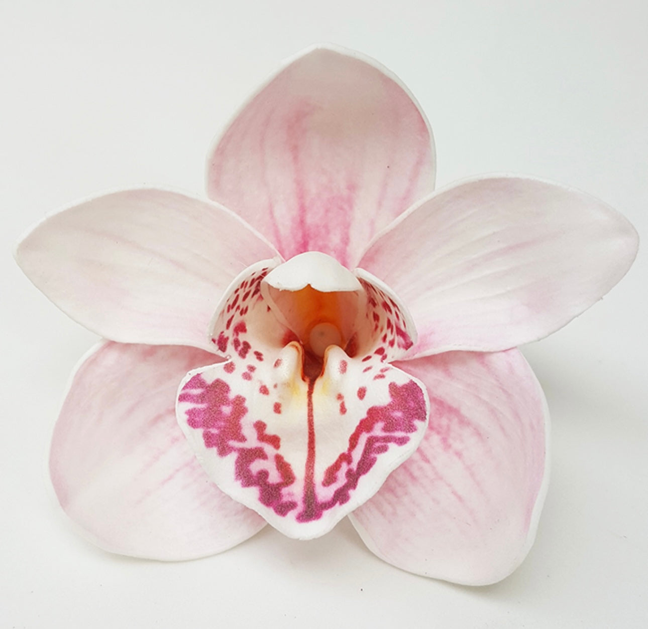 White Orchid “Sei”