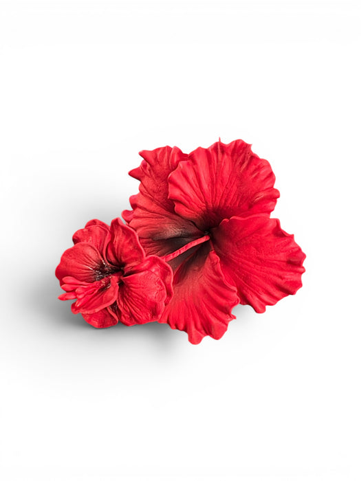Red Hibiscus Sei (10 cm)