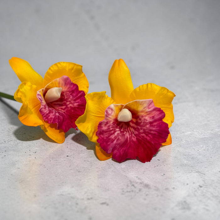 Yellow Orchid Sei (10 cm)