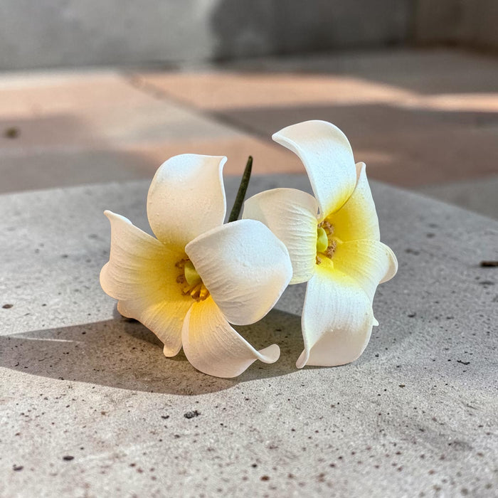 Double White Puakenikeni Sei