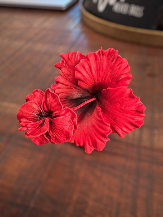 Red Hibiscus Sei (10 cm)