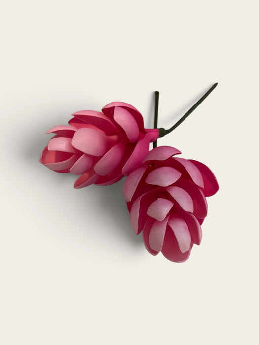 Pink Teuila Sei