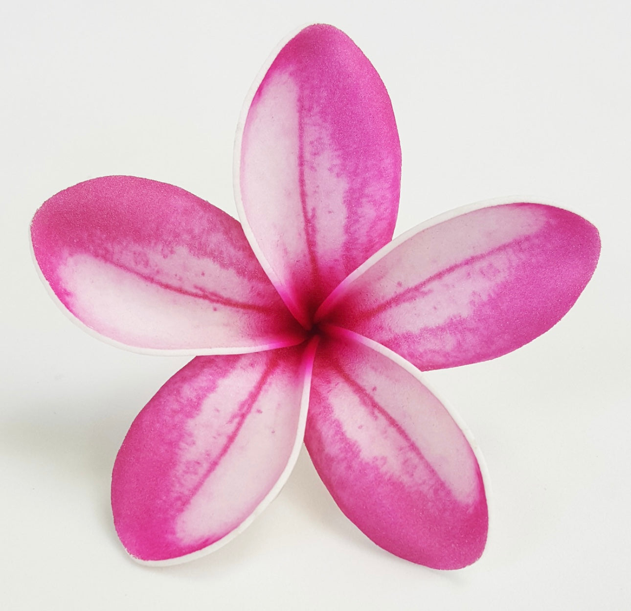 Plumeria “ Sei” (Pua 9 CM)