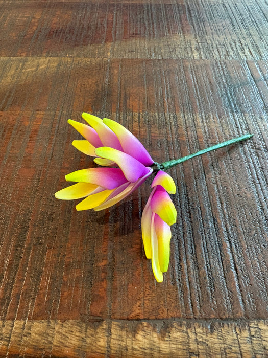 Yellow and Purple Heliconia Sei (Vaepa’a)
