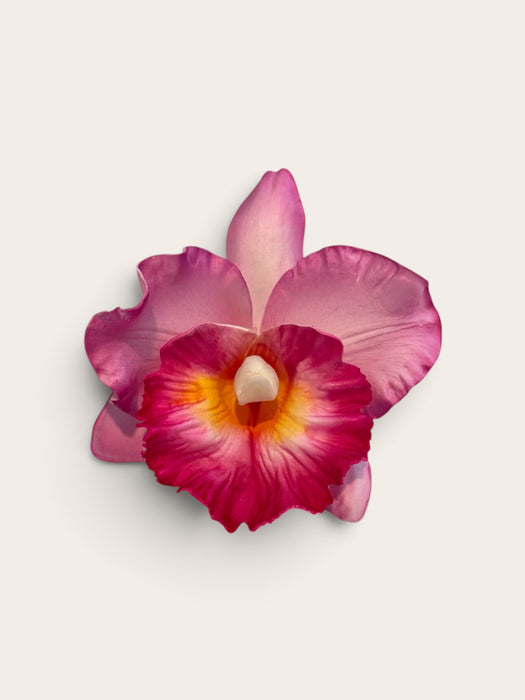 Pink Orchid Sei (10 cm)