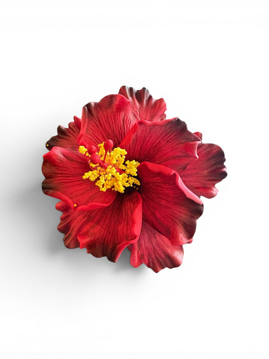 Double Deep Red Hibiscus Sei (11 cm)
