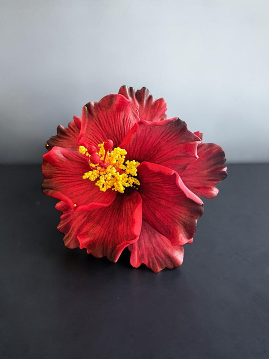 Double Deep Red Hibiscus Sei (11 cm)