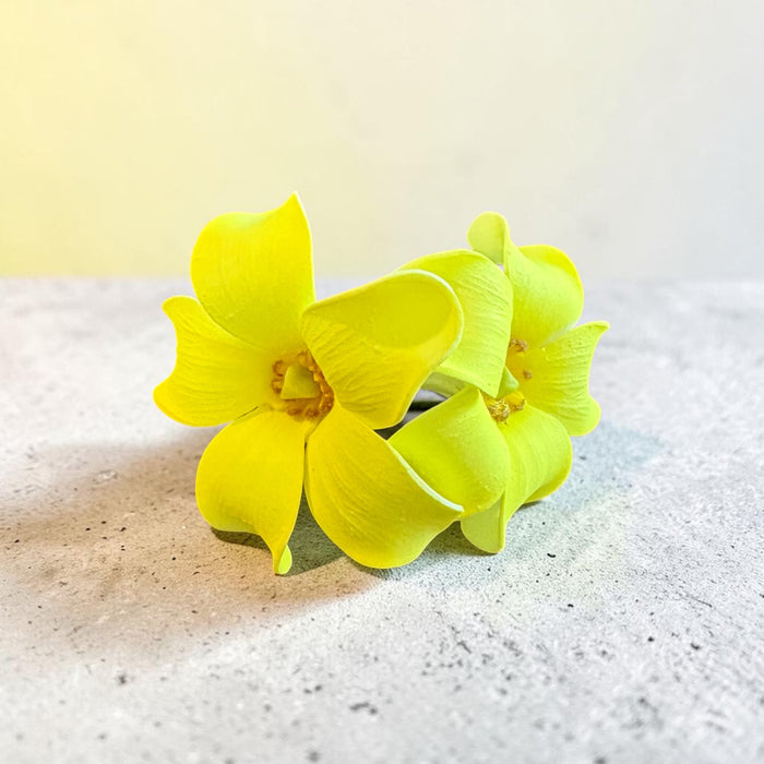 Double Yellow Puakenikeni Sei