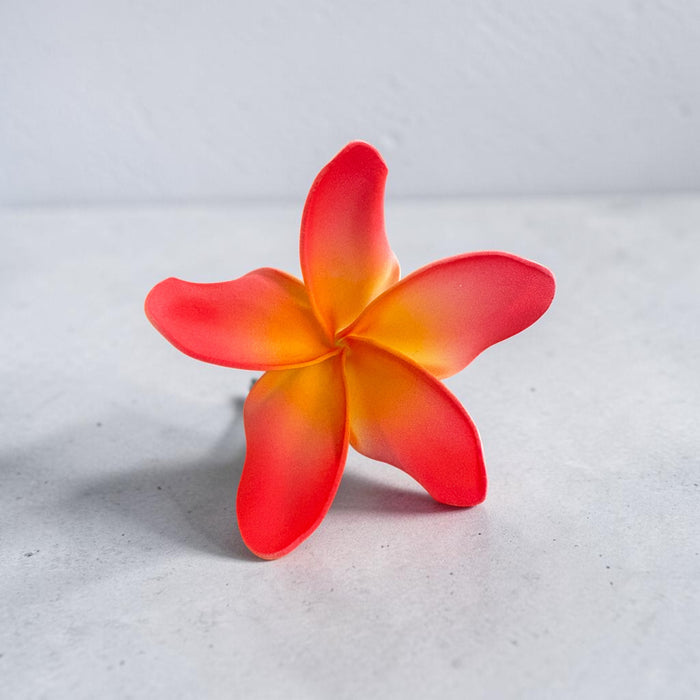 Red Plumeria Sei (9 cm)