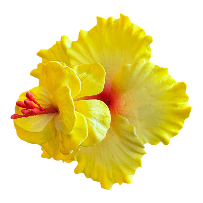 Yellow Double Hibiscus Sei (10 cm)
