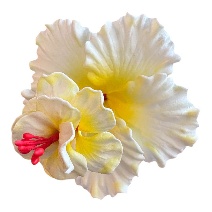 White Double Hibiscus Sei (10 cm)