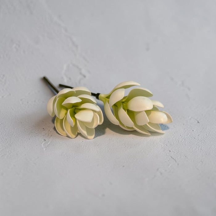 White Teuila Sei (Ginger flower)