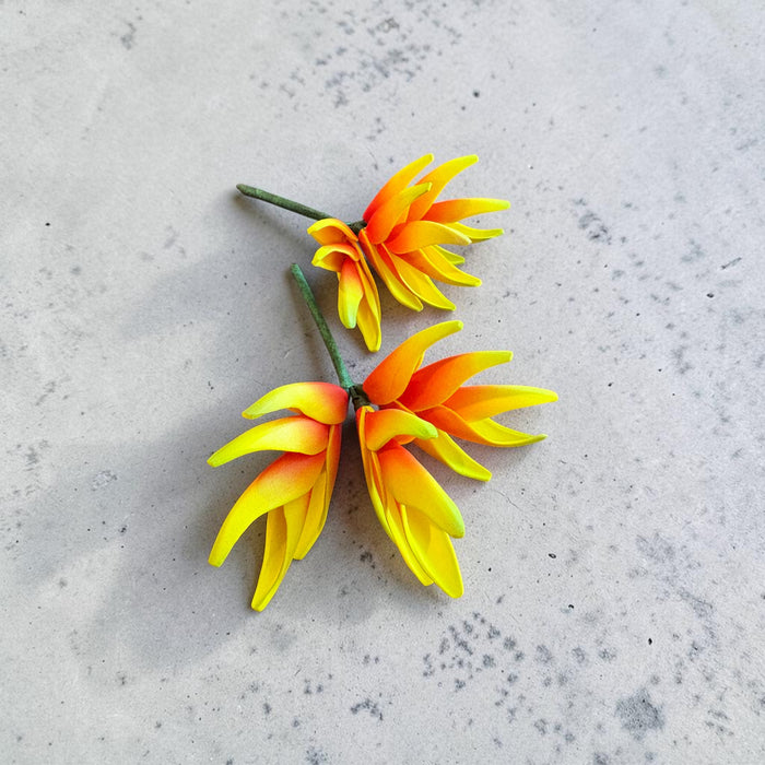 Yellow and Orange Heliconia Sei (Vaepa’a)
