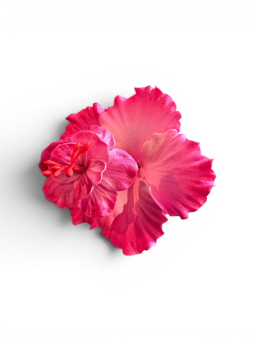Pink Double Hibiscus Sei (10 cm)