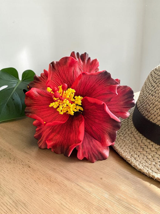 Double Deep Red Hibiscus Sei (11 cm)