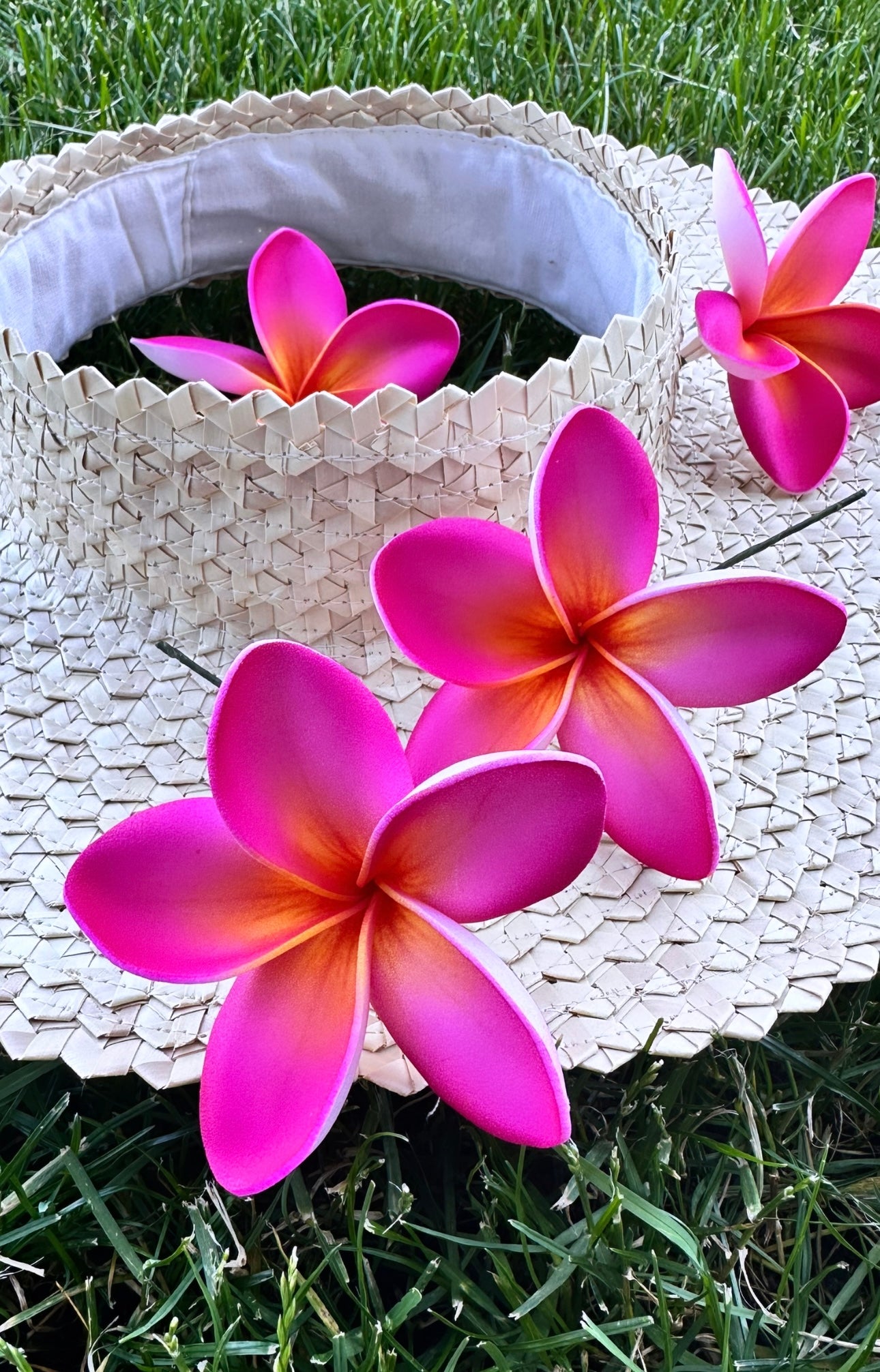 Plumeria (Pua 9 CM)