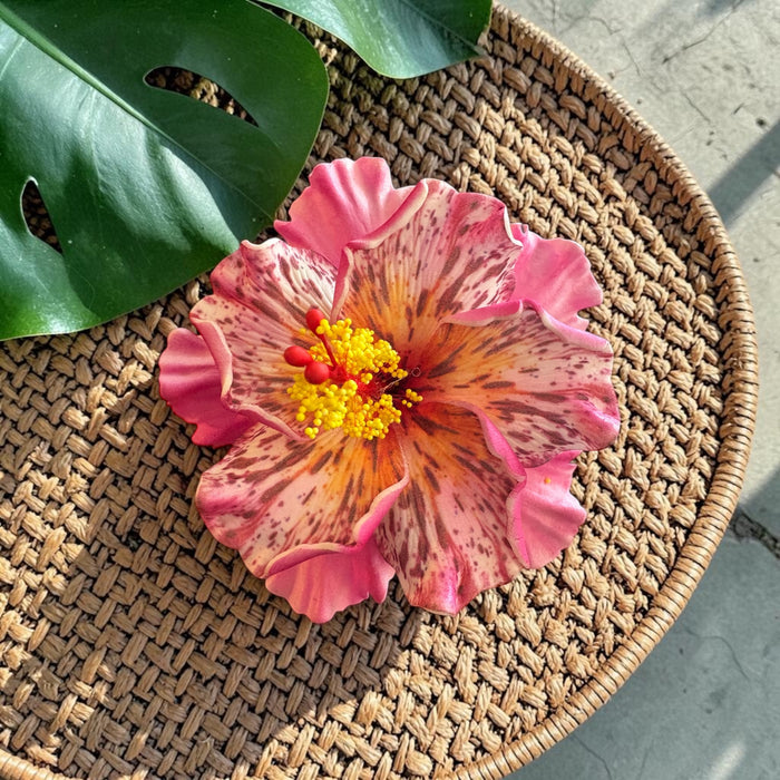 Pink Double Hibiscus Sei (11 cm)