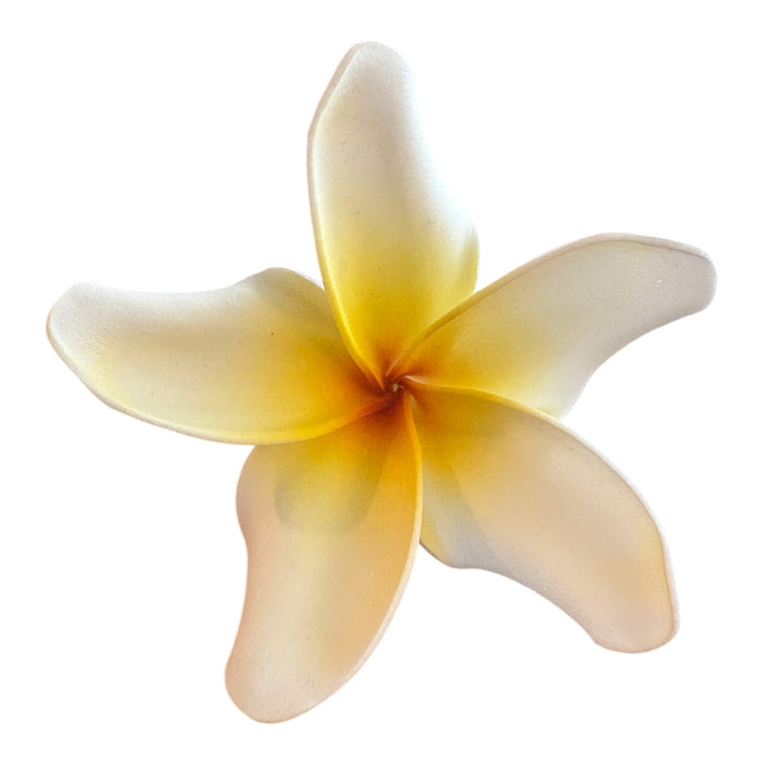 White Plumeria Sei (9 cm)