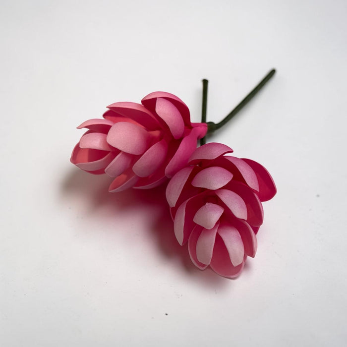 Pink Teuila Sei