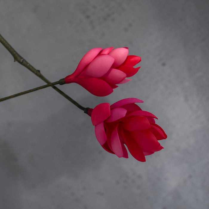 Pink and Red Teuila Sei