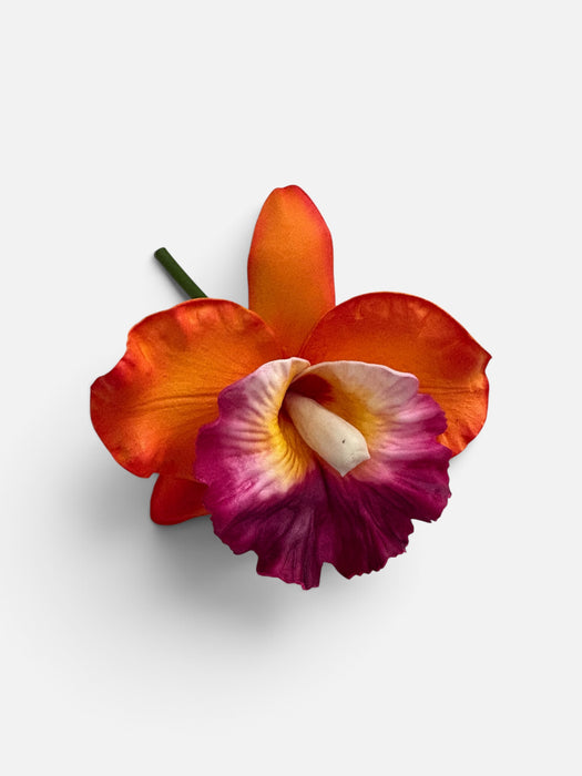 Orange Orchid Sei (10 cm)