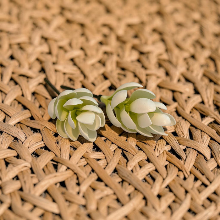 White Teuila Sei (Ginger flower)