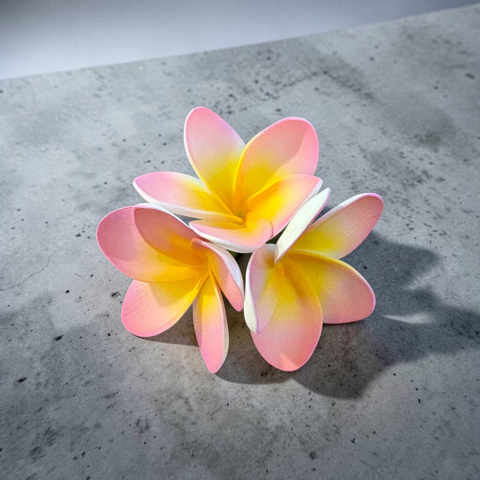 Pink Triple Plumeria Sei (11 cm)