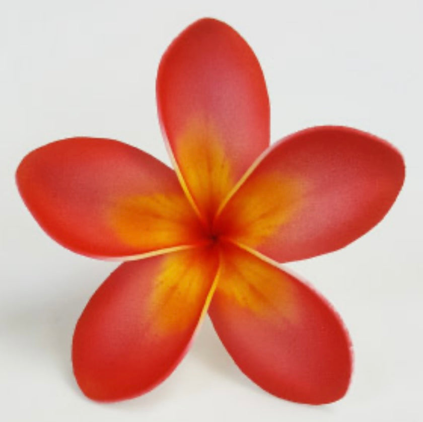 Red Plumeria (Pua 9 CM)