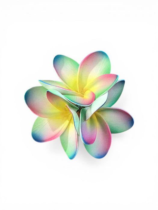 Triple Multicolor Plumeria Sei (11 cm)