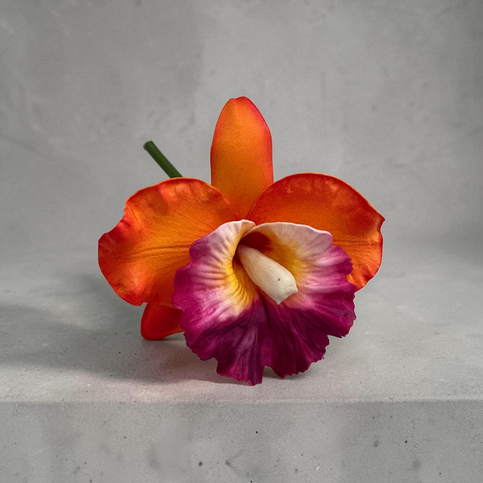 Orange Orchid Sei (10 cm)