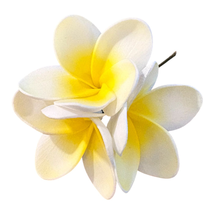 Triple Plumeria Sei (11 cm)