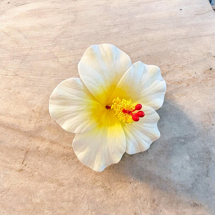 White Hibiscus Sei (9 cm)