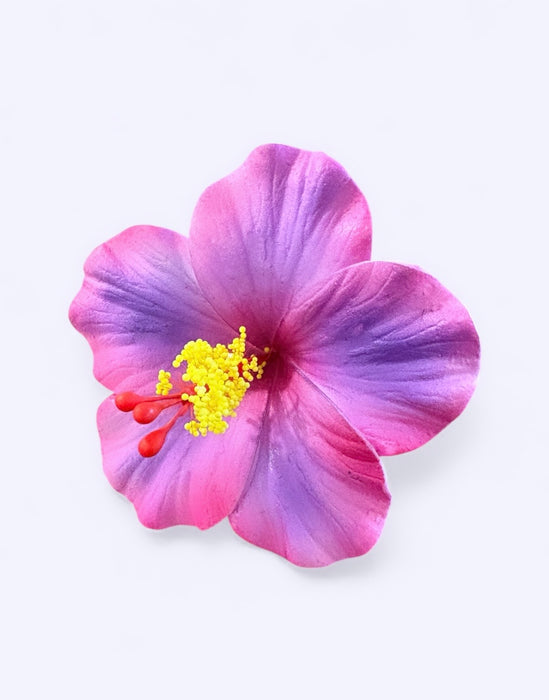 Pink and Purple Hibiscus Sei (9 cm)